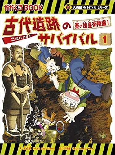 ピラミッドのサバイバルと他サバイバルシリーズまとめ売り 新品含む21
